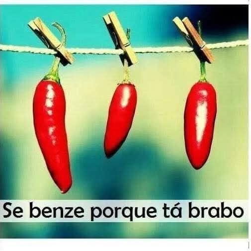 sou eu